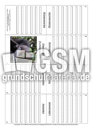 Faltbuch-Eichhörnchen.pdf